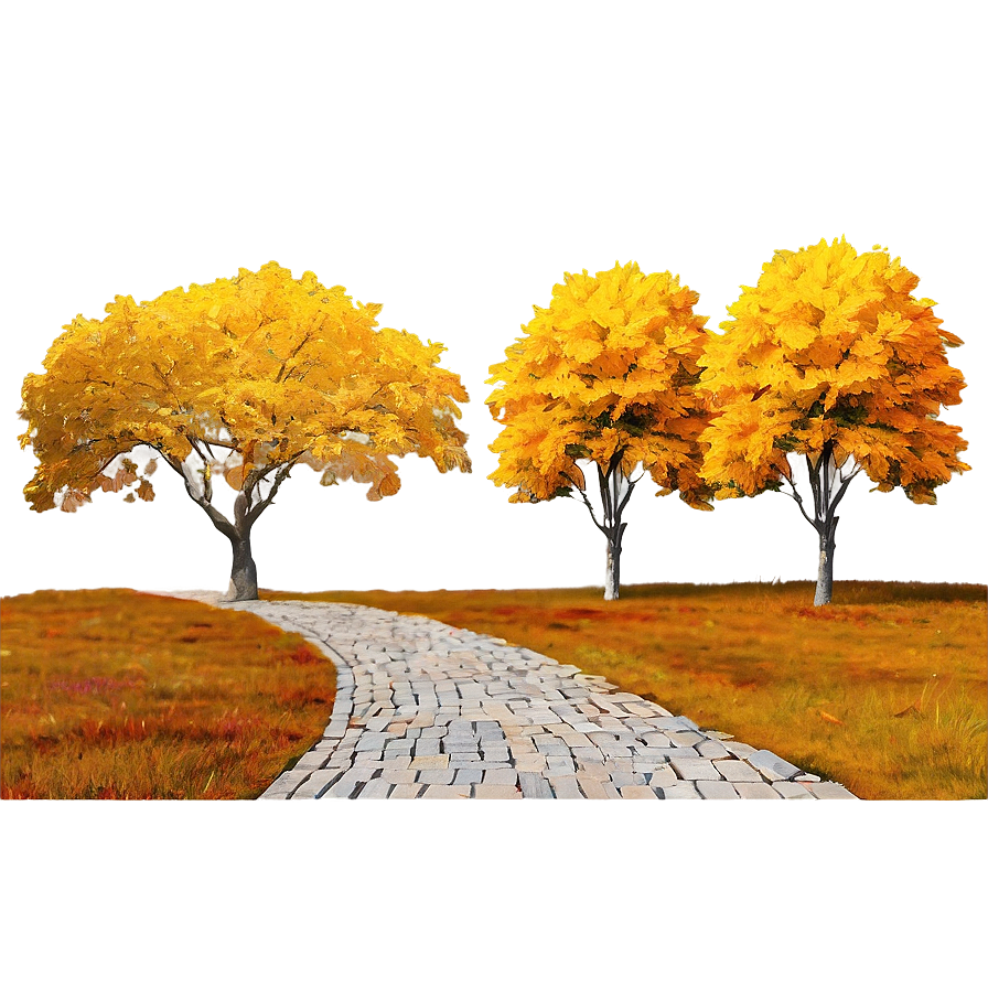 Golden Fall Trees Pathway Png 62