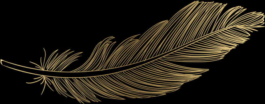 Golden Feather Black Background