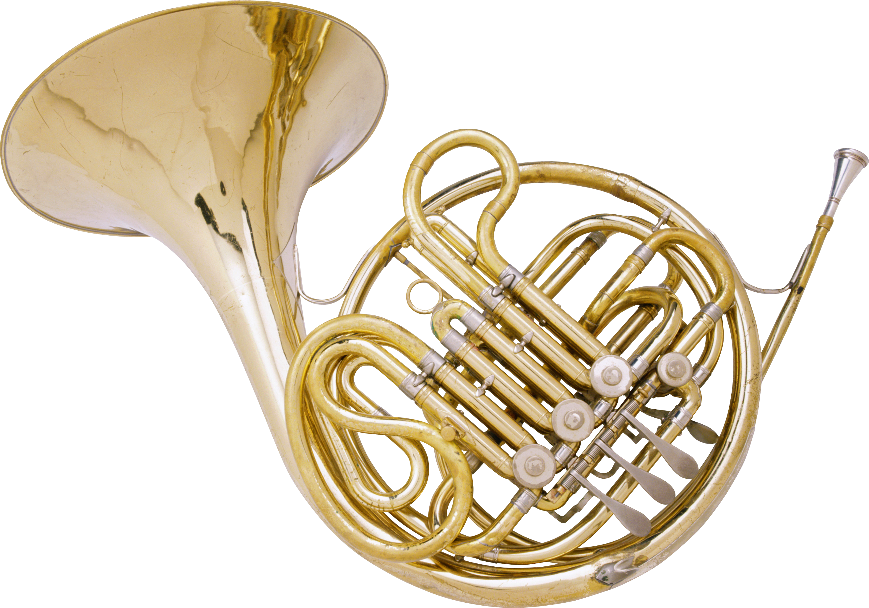 Golden French Horn Black Background