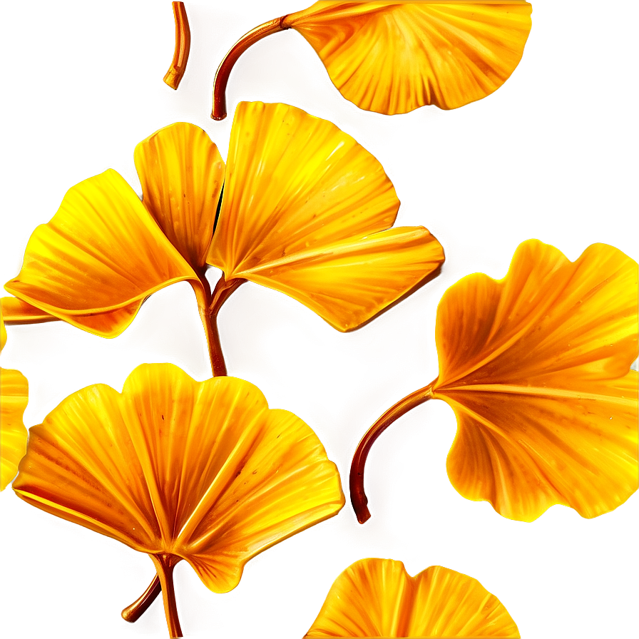 Golden Ginkgo Leaves Png Fow