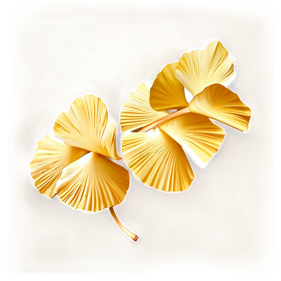 Golden Ginkgo Leaves Png Tbe