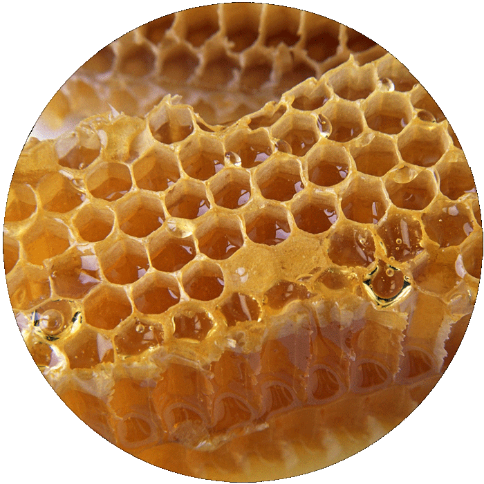 Golden Honeycomb Texture