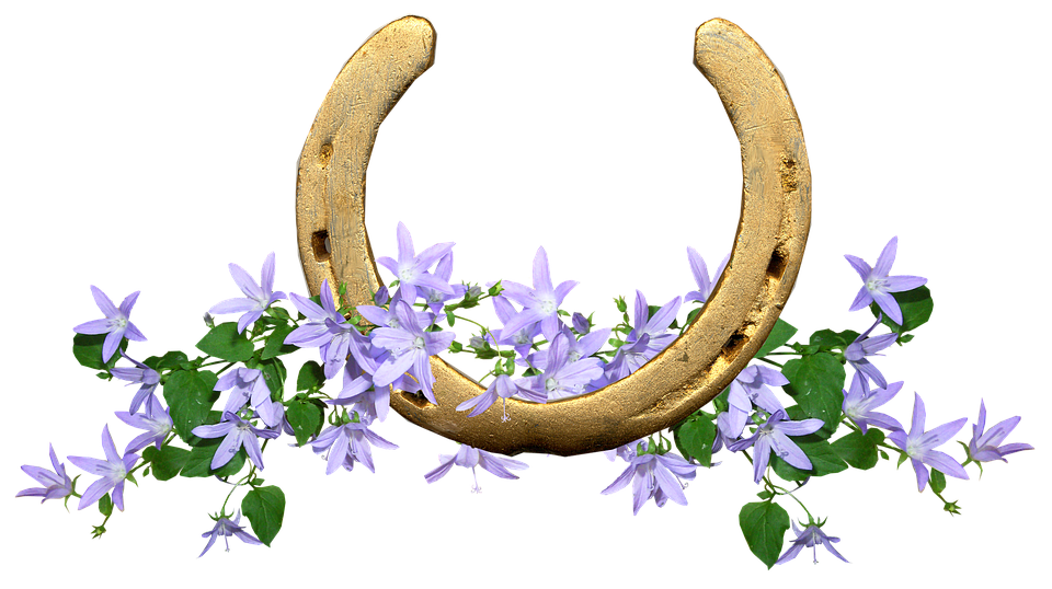 Golden Horseshoewith Purple Flowers