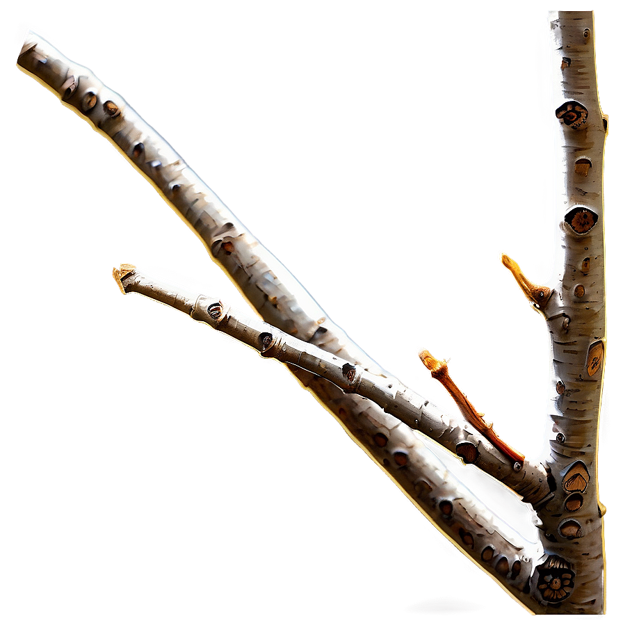 Golden Hour Twig Png 06132024