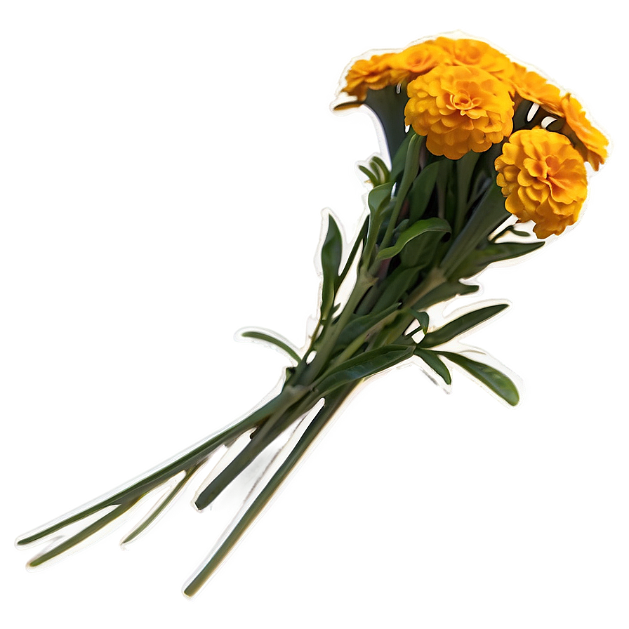 Golden Marigolds Bouquet Png 06132024