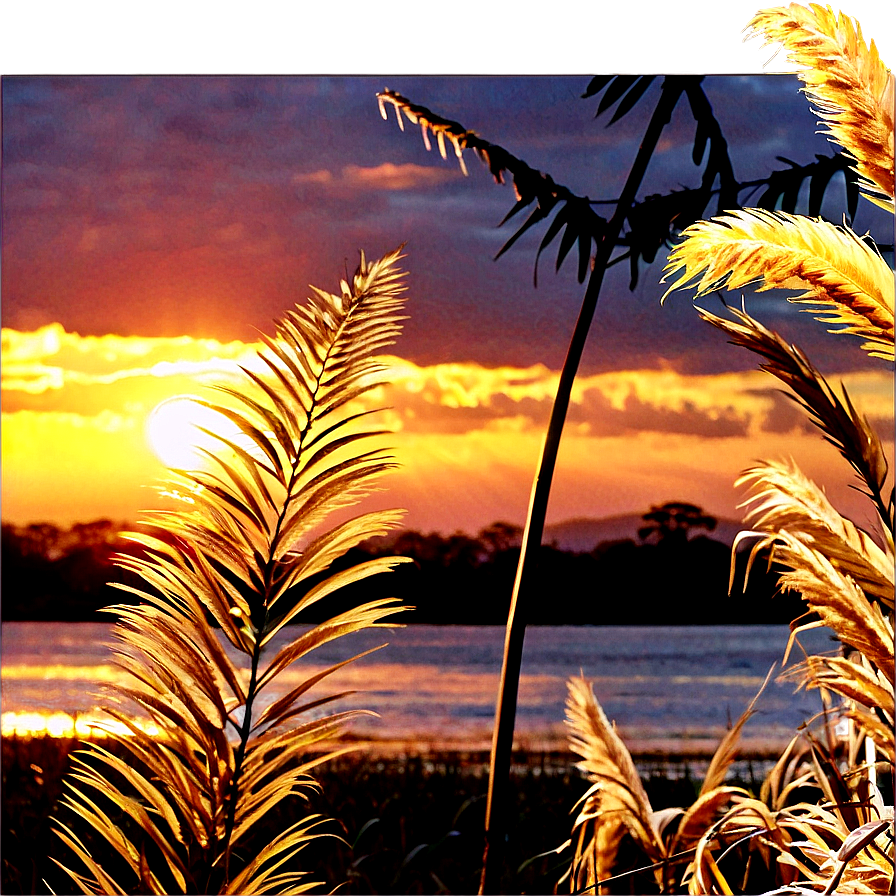 Golden Pampas Sunset Png 12