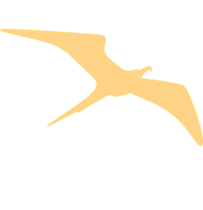 Golden Pterodactyl Silhouette