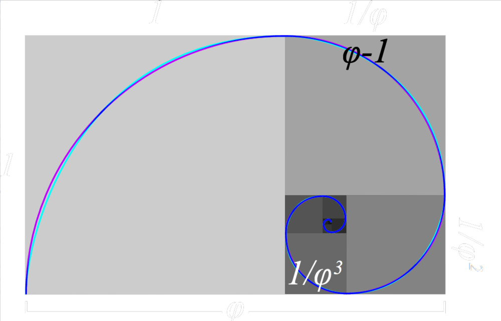 Golden Ratio Fibonacci Spiral