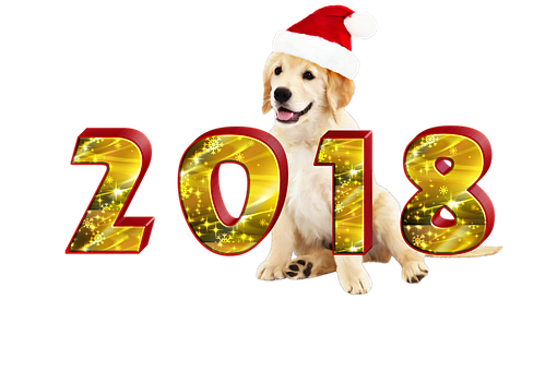 Golden Retriever Celebrates2018 New Year