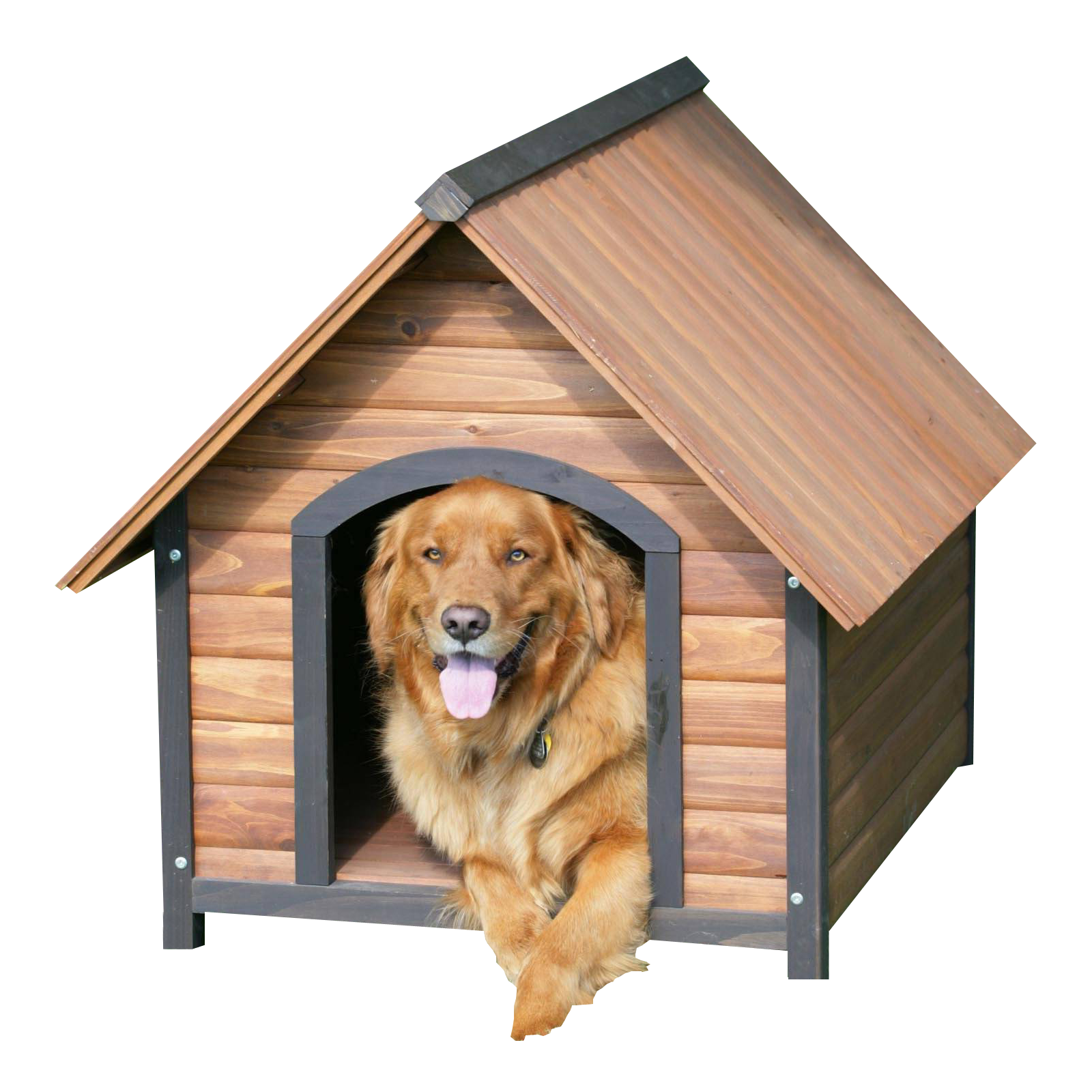 Golden Retriever In Doghouse.png