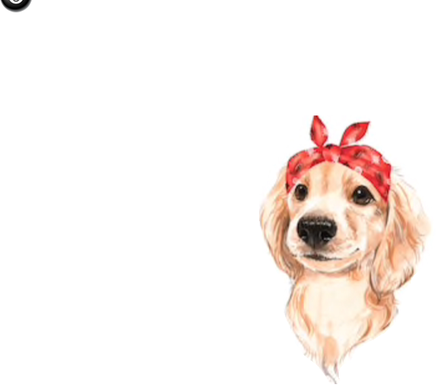 Golden Retriever Puppy With Red Bandana