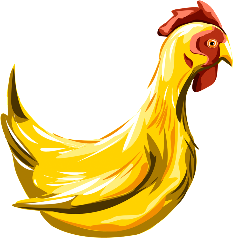 Golden Rooster Illustration