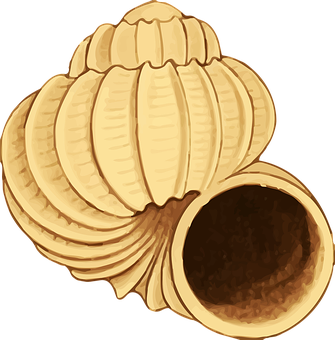 Golden Scallop Shell Illustration