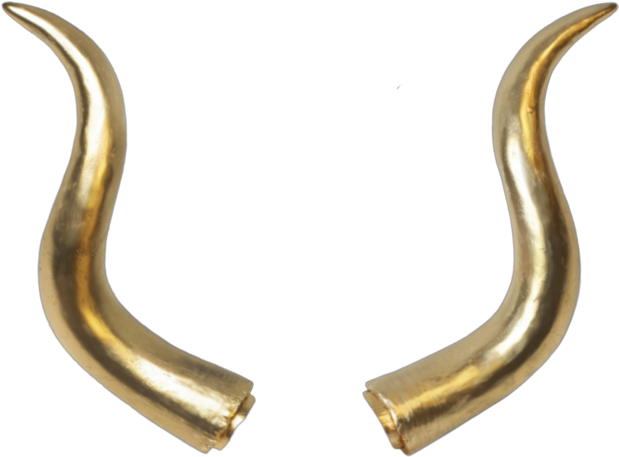 Golden Shofar Horns