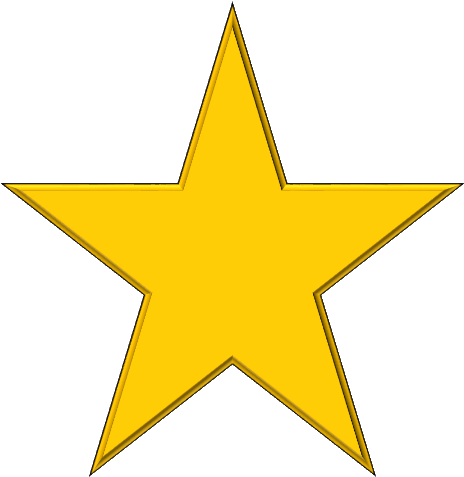 Golden Star Icon