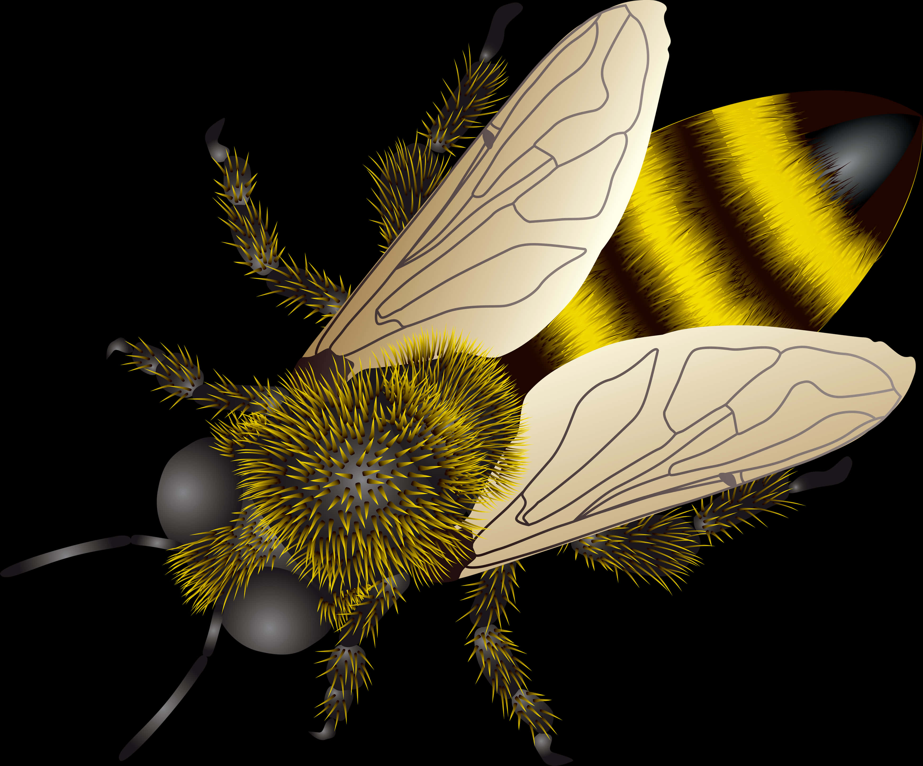 Golden Striped Bee Illustration