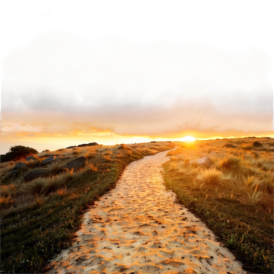 Golden Sunset Path Png 12