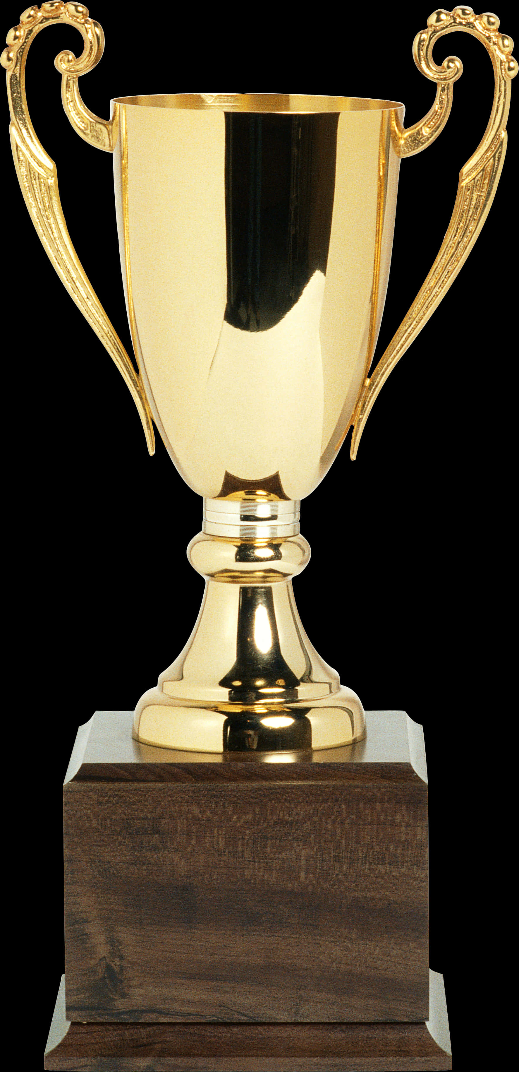 Golden Trophyon Wooden Base.jpg