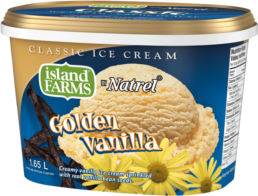 Golden Vanilla Ice Cream Container