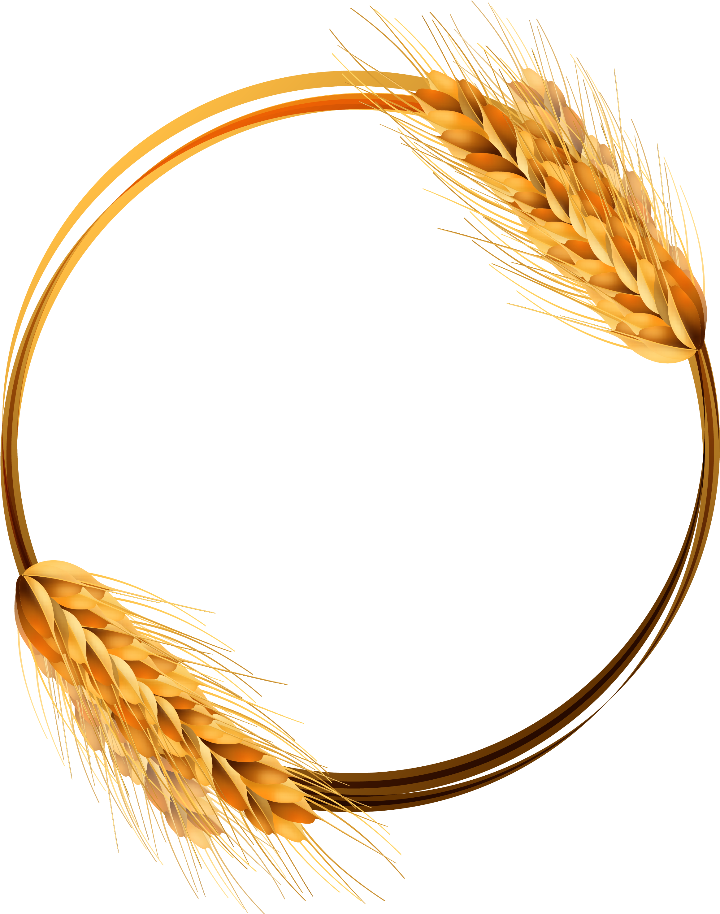 Golden Wheat Ears Circle Vector