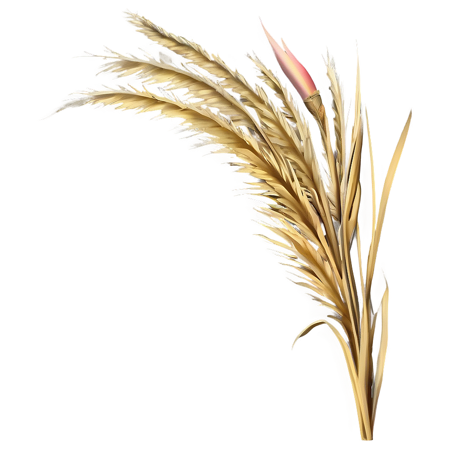 Golden Wild Grass Png Bht