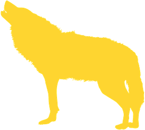 Golden Wolf Silhouette