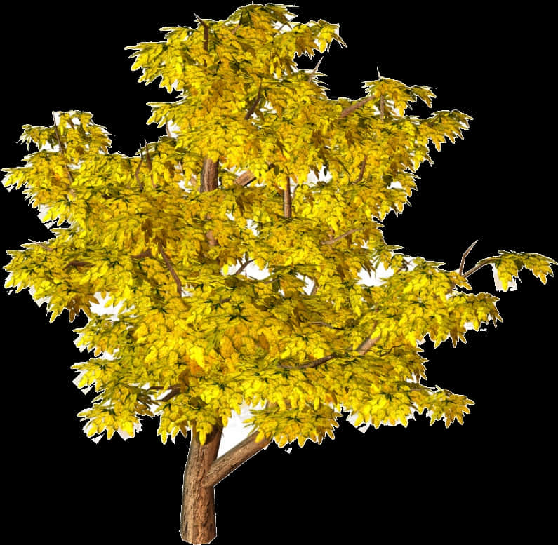 Golden Yellow Autumn Tree