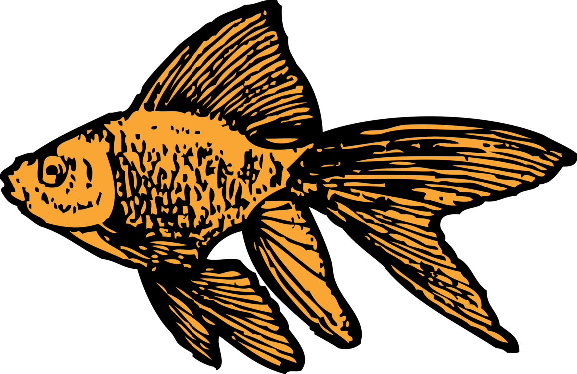 Goldfish Illustration Vector Art