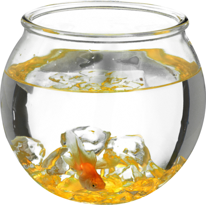 Goldfishin Glass Bowl