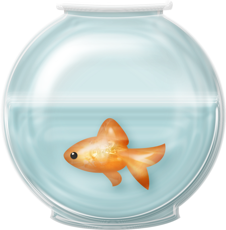 Goldfishin Glass Bowl.png