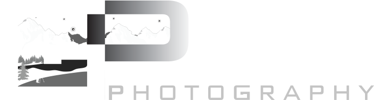 Goldpaint Photography Logo