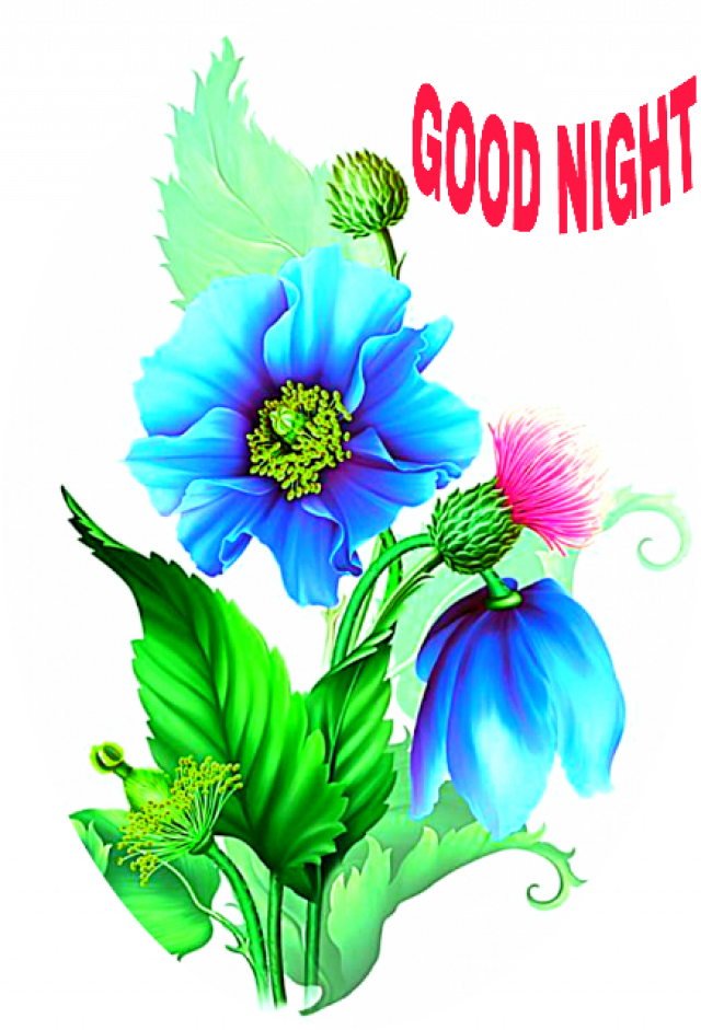 Good Night Floral Greeting