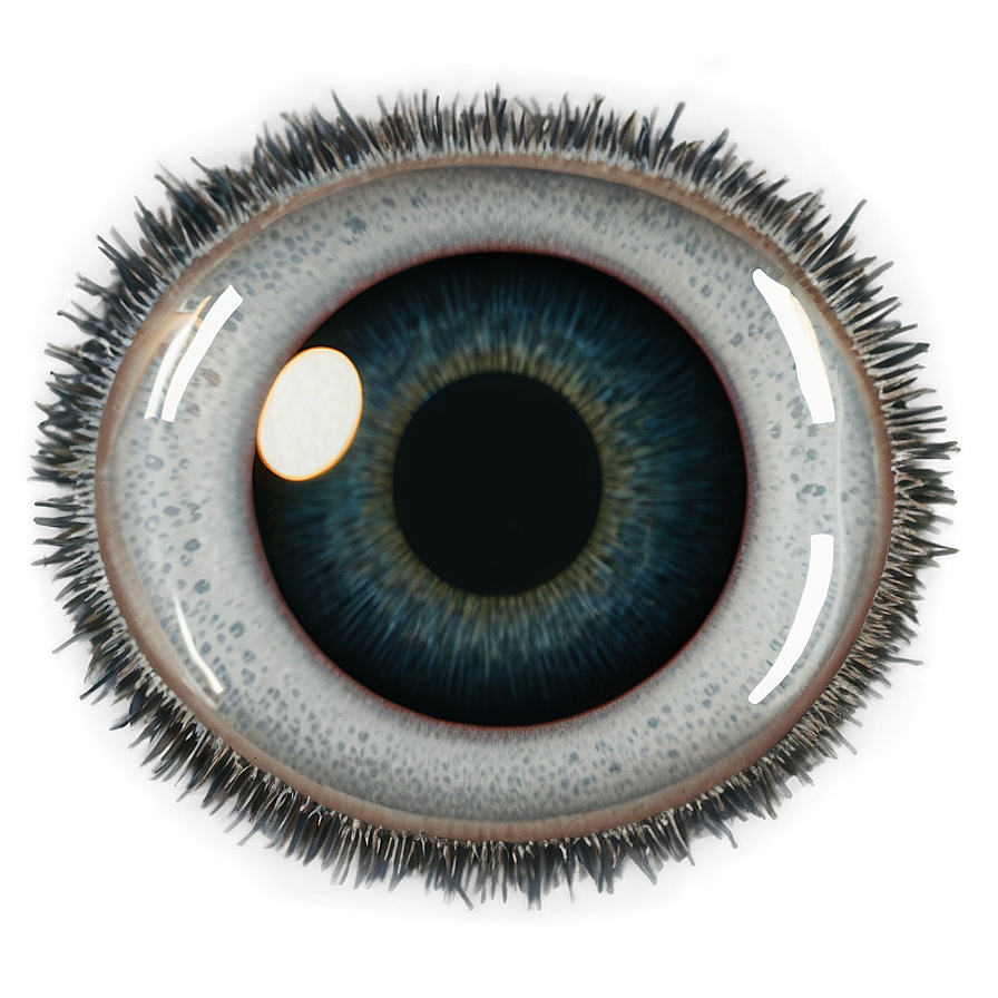 Googly Eyes Transparent Png Hce69