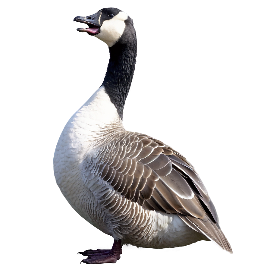 Goose Beak Open Png 43