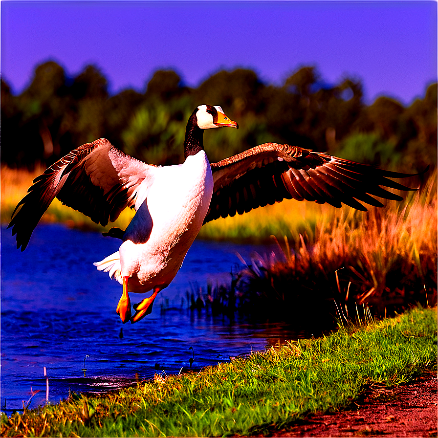 Goose Taking Off Flight Png 06112024