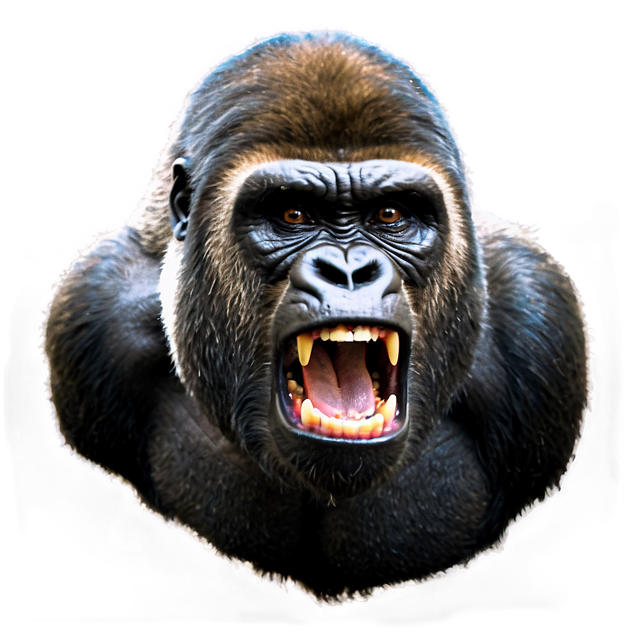 Gorilla Anger Expression Png 06252024