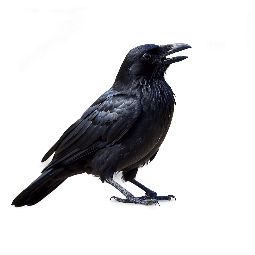 Gothic Crow Png Qdk16