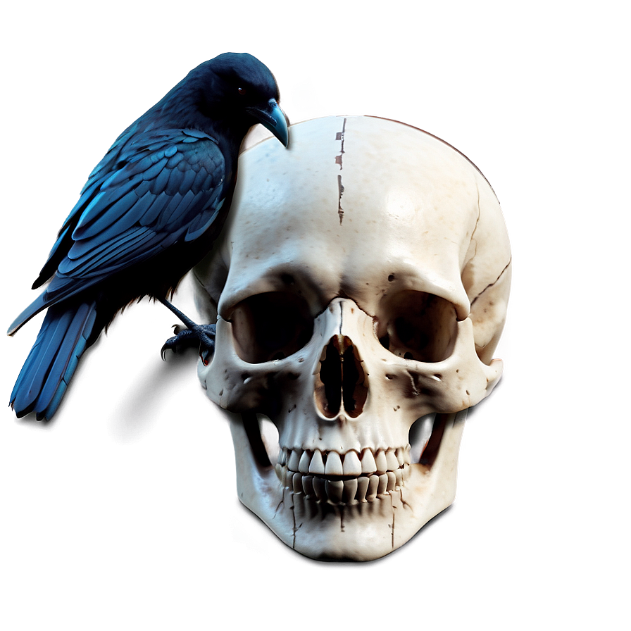 Gothic Raven And Skull Png 7