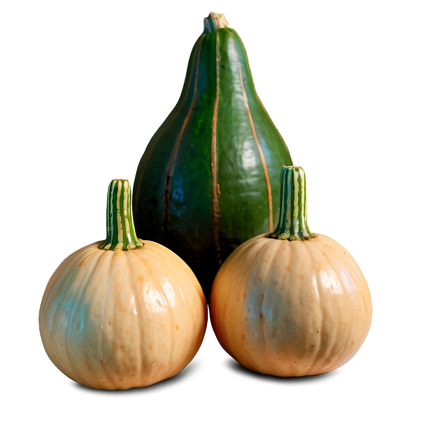 Gourd Arrangement Png 06292024