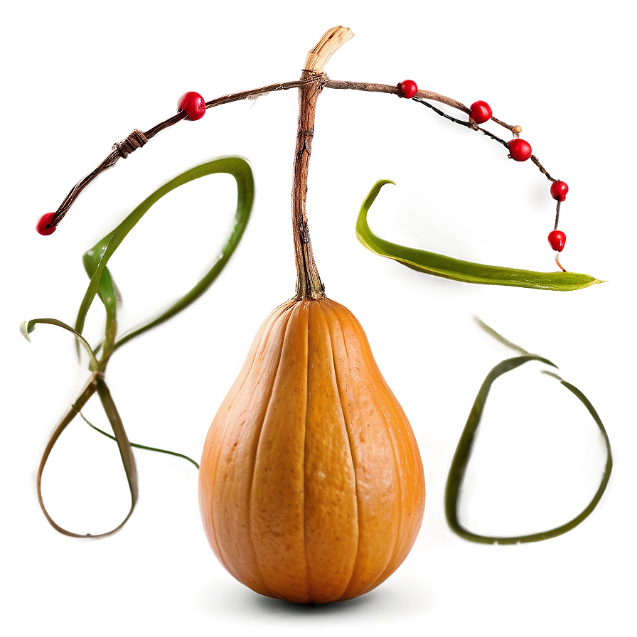 Gourd Display Png Tdc51