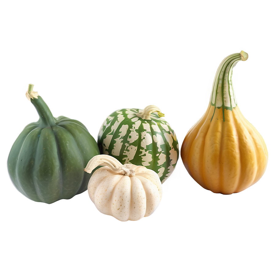 Gourd Garden Png Cjp33