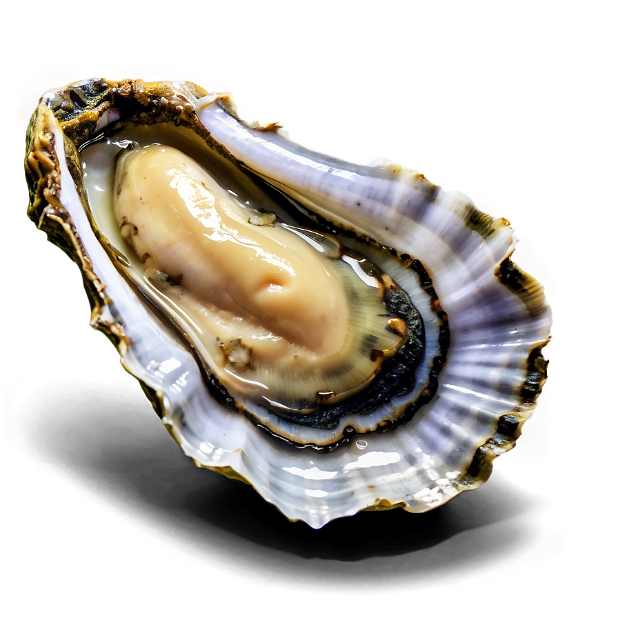 Gourmet Oyster Png Laa