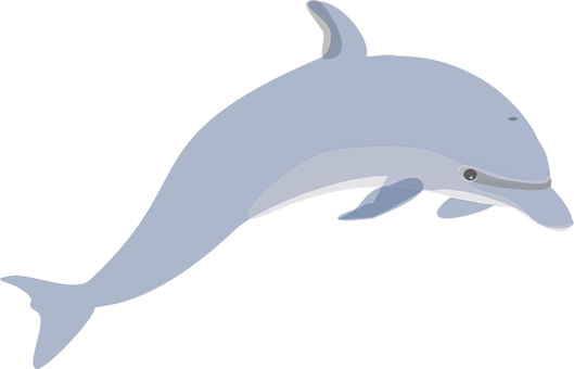 Graceful Dolphin Illustration