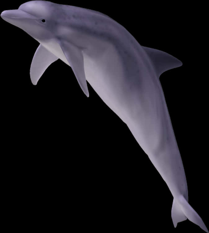 Graceful Dolphin Illustration