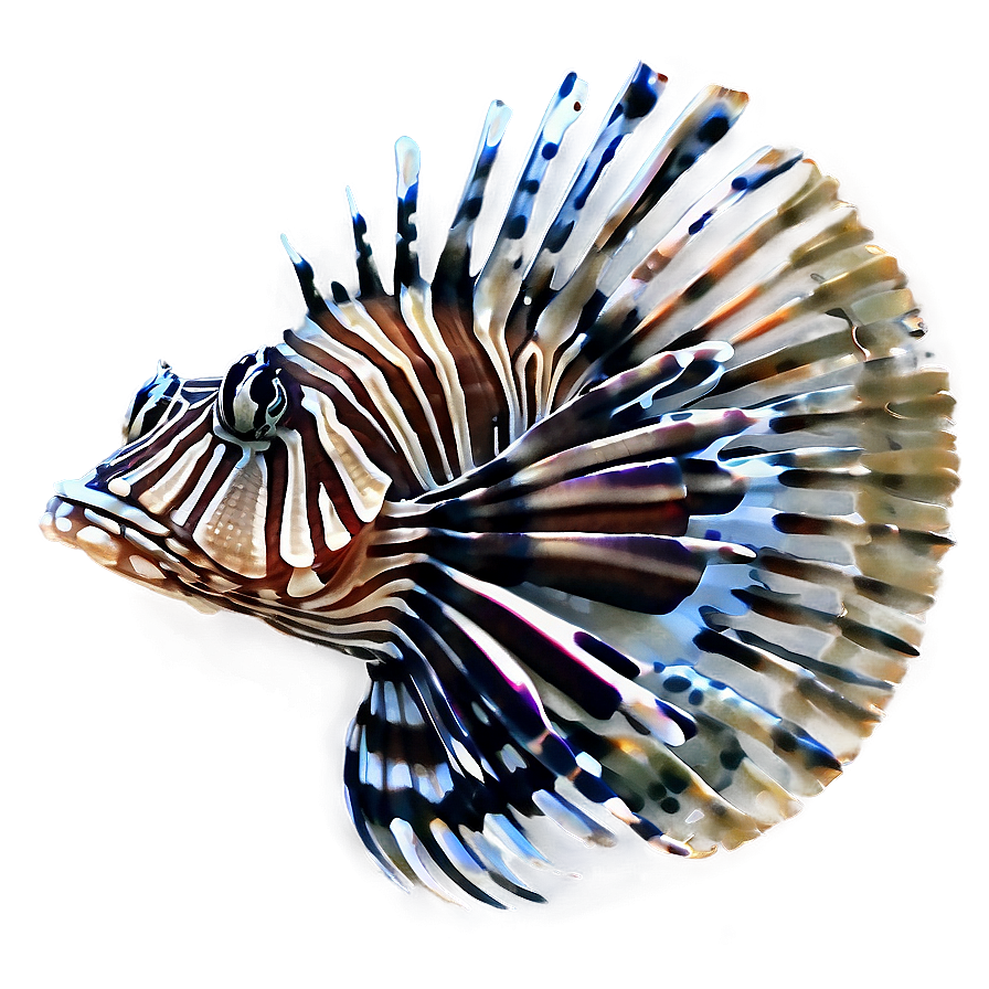 Graceful Lionfish Png 18