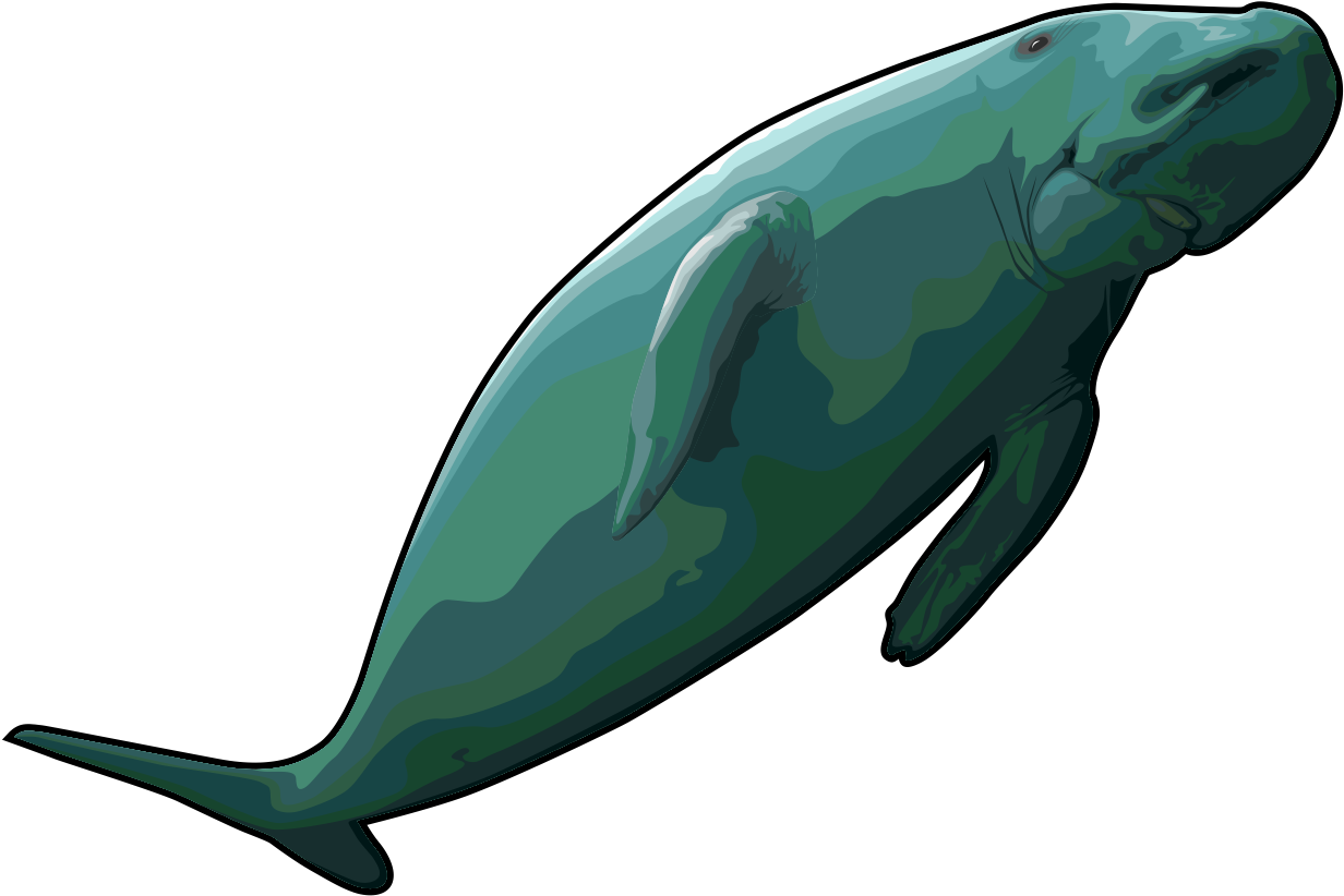 Graceful Whale Clipart