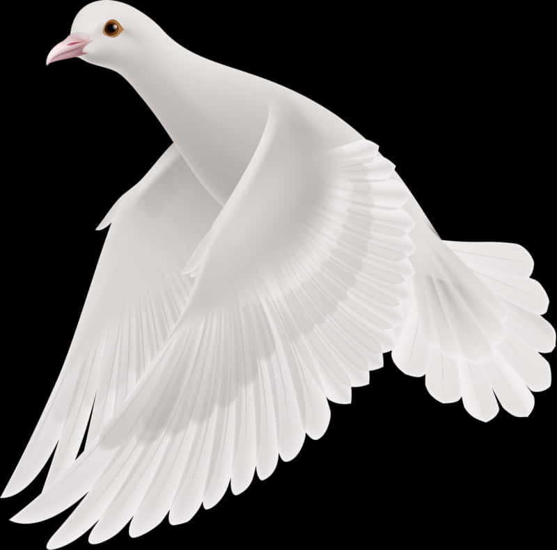 Graceful White Pigeon In Flight