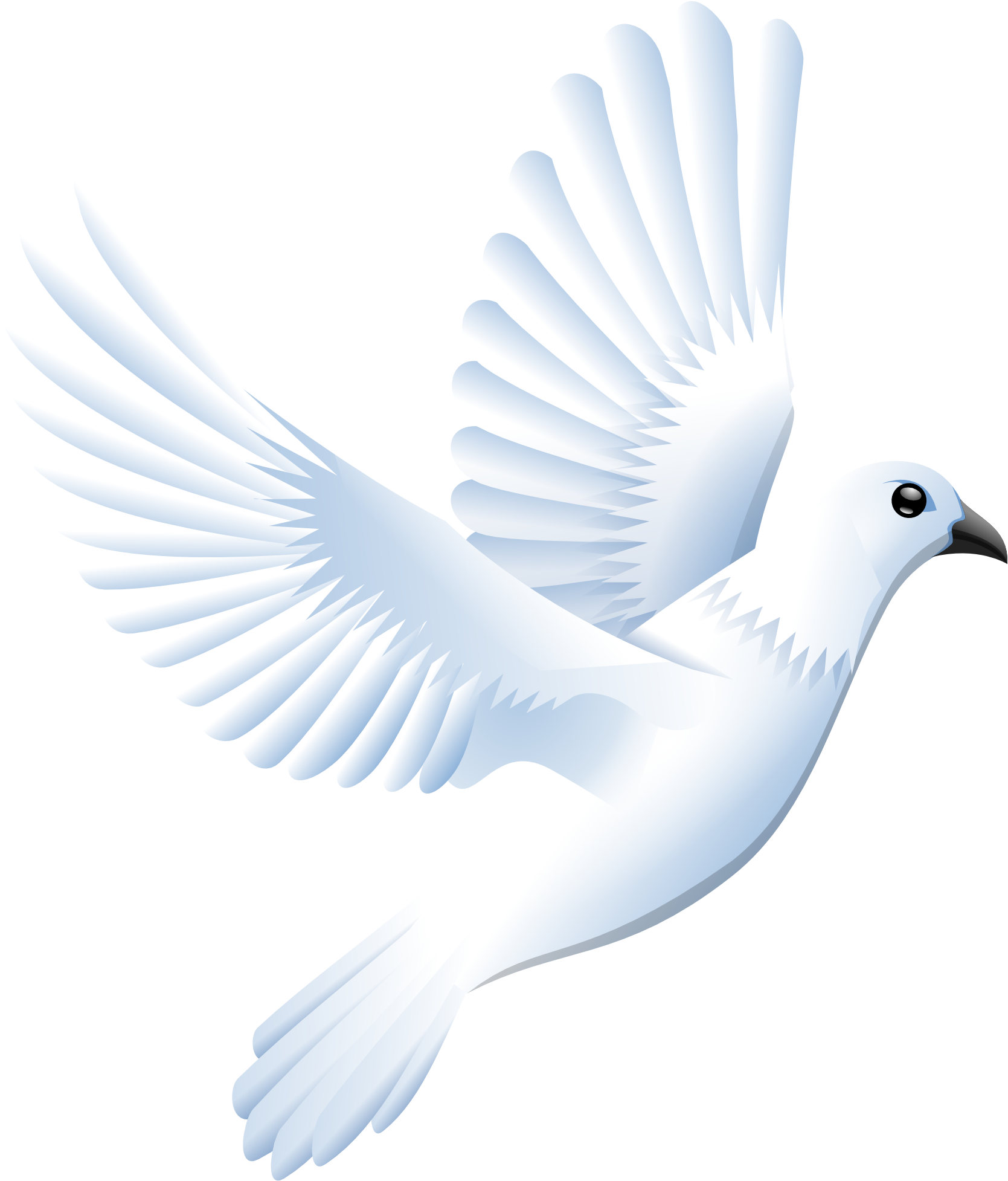 Graceful White Pigeon In Flight