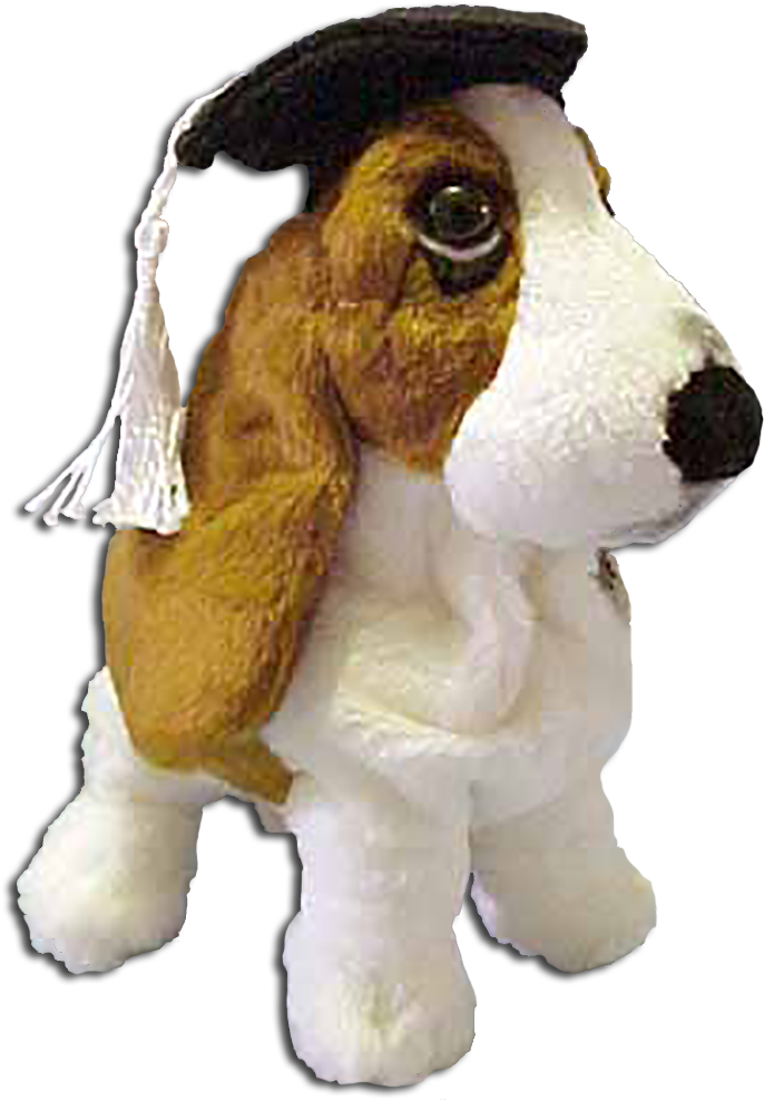 Graduate Basset Hound Plush Toy