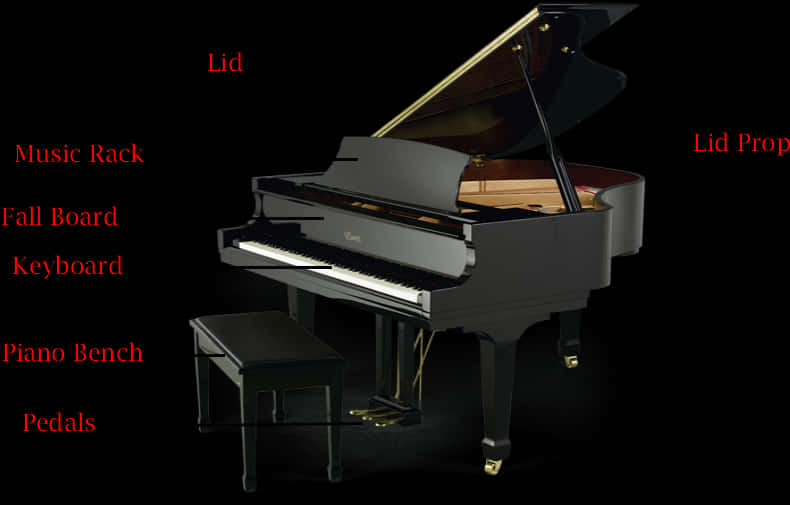 Grand Piano Parts Identification